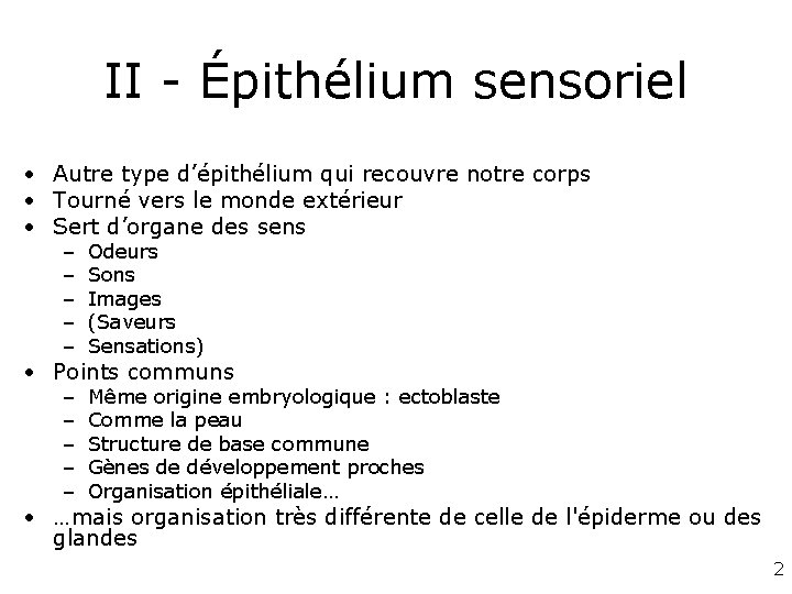 II - Épithélium sensoriel • Autre type d’épithélium qui recouvre notre corps • Tourné