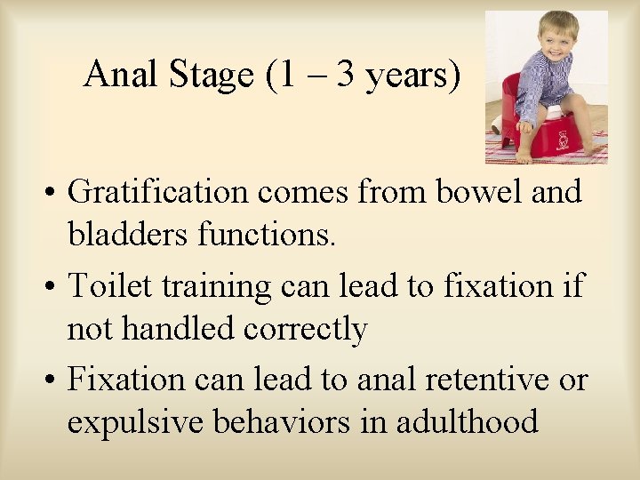 Anal Stage (1 – 3 years) • Gratification comes from bowel and bladders functions.