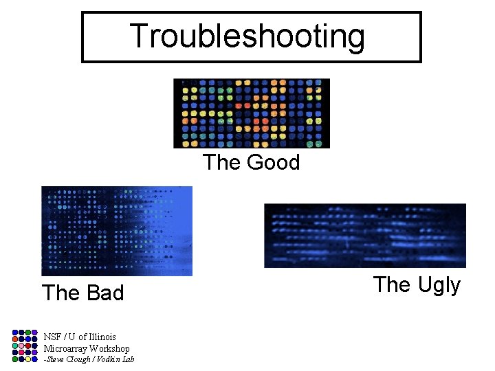 Troubleshooting The Good The Bad NSF / U of Illinois Microarray Workshop -Steve Clough