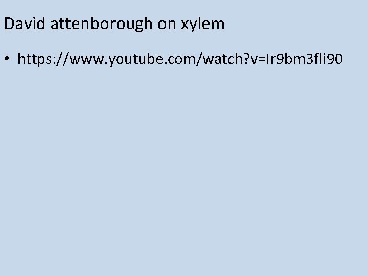 David attenborough on xylem • https: //www. youtube. com/watch? v=Ir 9 bm 3 fli David attenborough on xylem • https: //www. youtube. com/watch? v=Ir 9 bm 3 fli