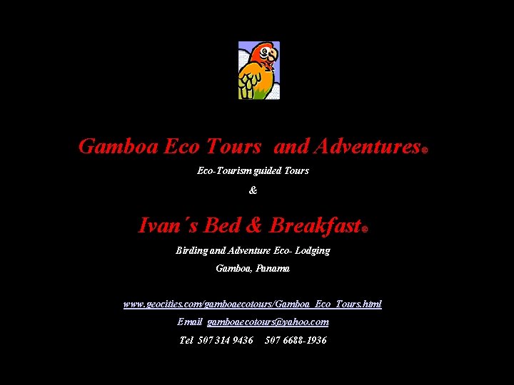 Gamboa Eco Tours and Adventures Eco-Tourism guided Tours & Ivan´s Bed & Breakfast ®