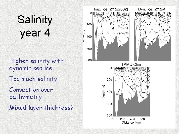 Salinity year 4 Higher salinity with dynamic sea ice Too much salinity Convection over