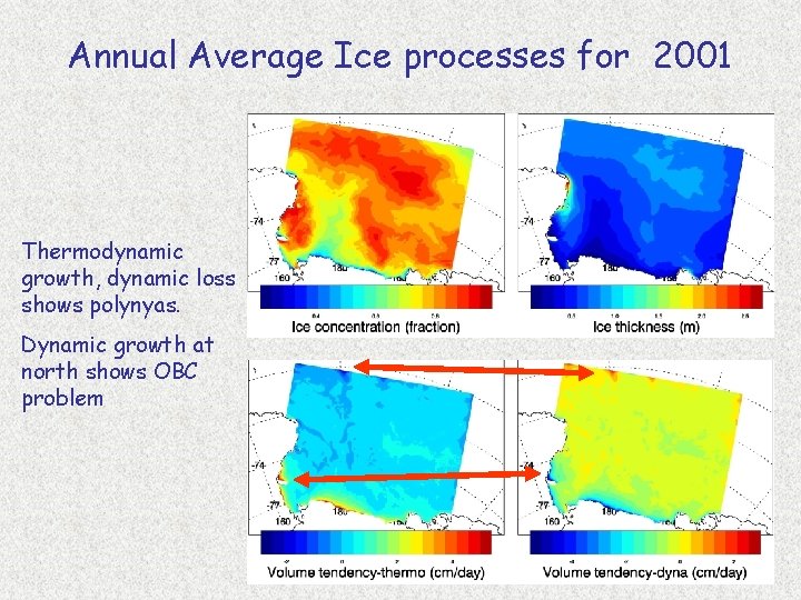 Annual Average Ice processes for 2001 Thermodynamic growth, dynamic loss shows polynyas. Dynamic growth
