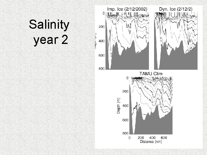 Salinity year 2 