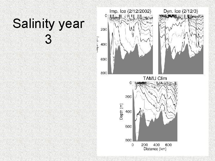 Salinity year 3 