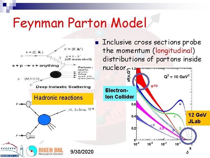 Feynman Parton Model n Hadronic reactions Inclusive cross sections probe the momentum (longitudinal) distributions