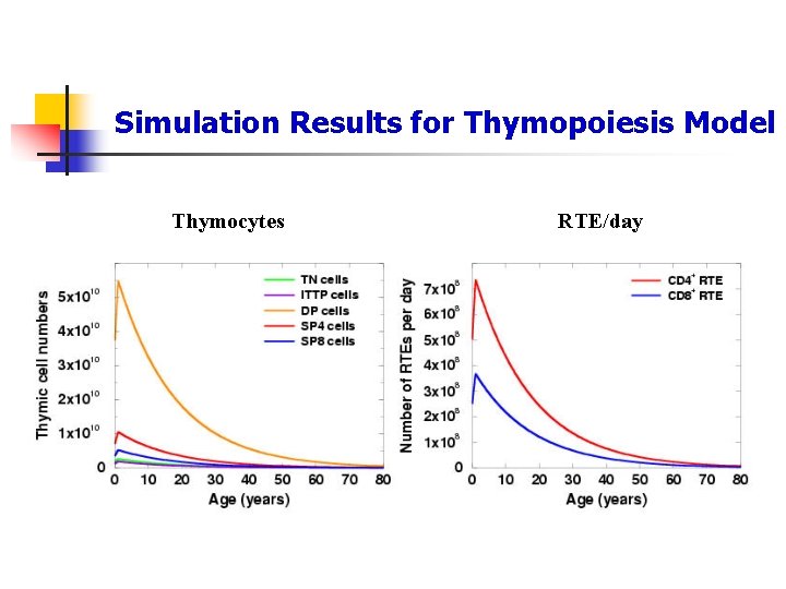 Simulation Results for Thymopoiesis Model Thymocytes RTE/day 