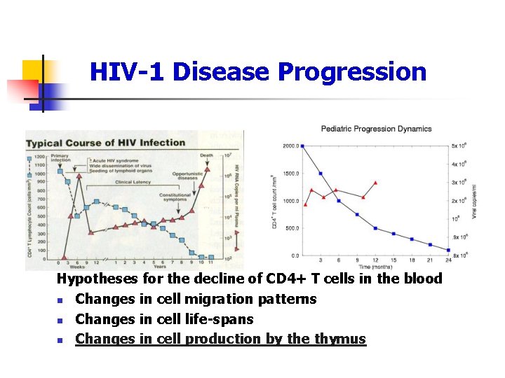 HIV-1 Disease Progression Hypotheses for the decline of CD 4+ T cells in the