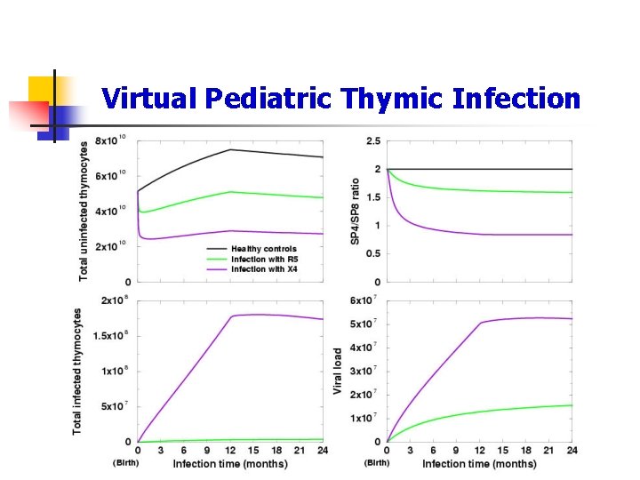 Virtual Pediatric Thymic Infection 
