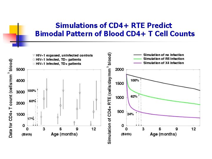 Simulations of CD 4+ RTE Predict Bimodal Pattern of Blood CD 4+ T Cell
