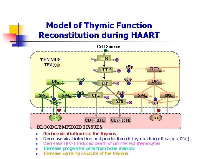 Model of Thymic Function Reconstitution during HAART Cell Source TN THYMUS TES(t) R 5