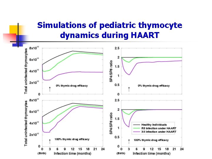 Simulations of pediatric thymocyte dynamics during HAART 