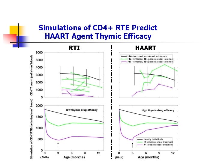 Simulations of CD 4+ RTE Predict HAART Agent Thymic Efficacy RTI HAART 