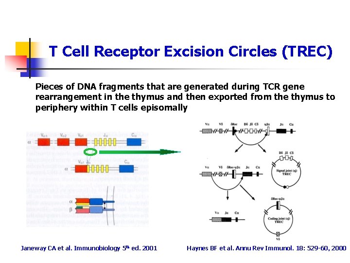 T Cell Receptor Excision Circles (TREC) Pieces of DNA fragments that are generated during