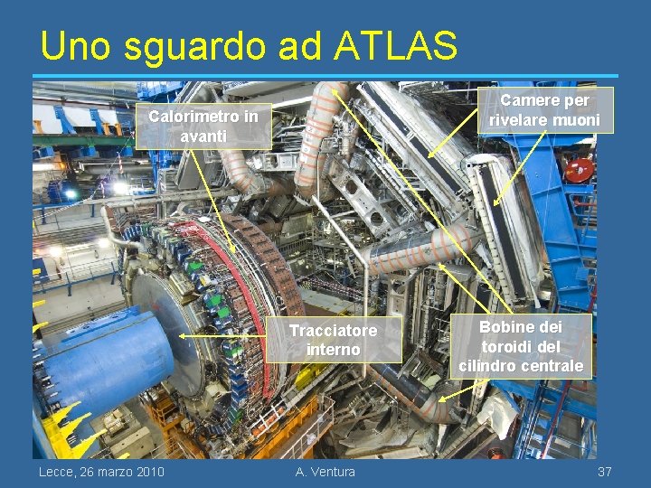 Uno sguardo ad ATLAS Camere per rivelare muoni Calorimetro in avanti Tracciatore interno Lecce,