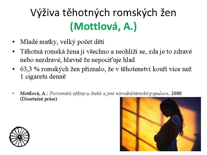 Výživa těhotných romských žen (Mottlová, A. ) • Mladé matky, velký počet dětí •