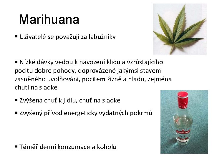  Marihuana § Uživatelé se považují za labužníky § Nízké dávky vedou k navození