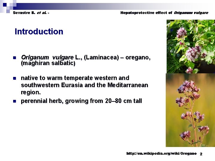 Sevastre B. et al. - Hepatoprotective effect of Origanum vulgare Introduction Origanum vulgare L.