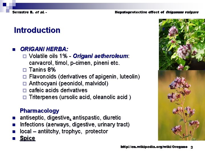 Sevastre B. et al. - Hepatoprotective effect of Origanum vulgare Introduction ORIGANI HERBA: ¨
