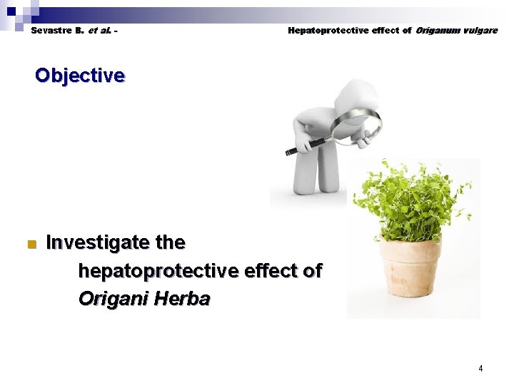 Sevastre B. et al. - Hepatoprotective effect of Origanum vulgare Objective Investigate the hepatoprotective