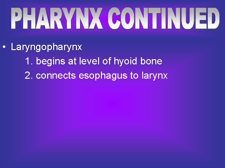  • Laryngopharynx 1. begins at level of hyoid bone 2. connects esophagus to