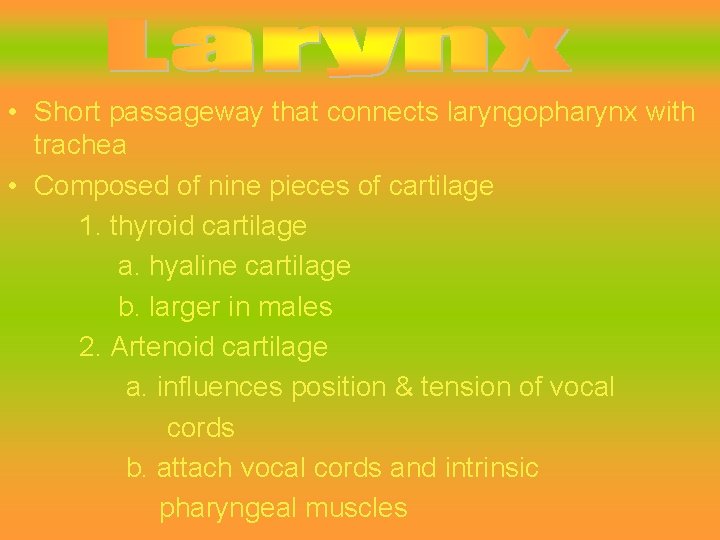  • Short passageway that connects laryngopharynx with trachea • Composed of nine pieces