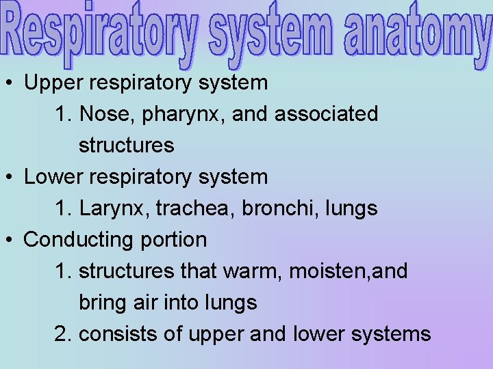  • Upper respiratory system 1. Nose, pharynx, and associated structures • Lower respiratory