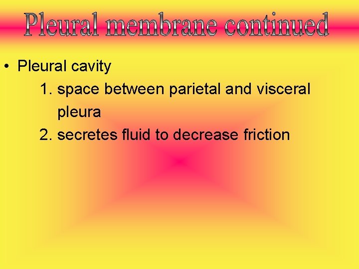  • Pleural cavity 1. space between parietal and visceral pleura 2. secretes fluid