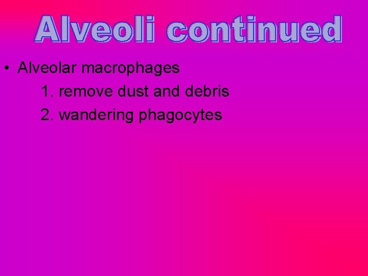  • Alveolar macrophages 1. remove dust and debris 2. wandering phagocytes 