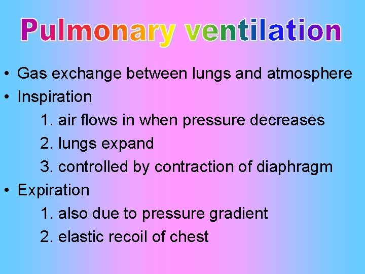  • Gas exchange between lungs and atmosphere • Inspiration 1. air flows in