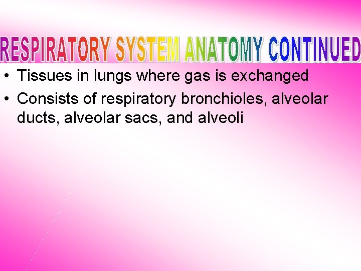  • Tissues in lungs where gas is exchanged • Consists of respiratory bronchioles,