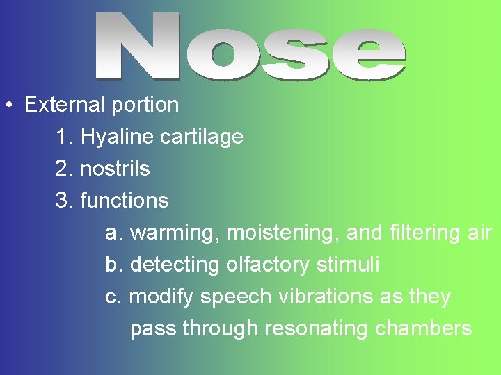  • External portion 1. Hyaline cartilage 2. nostrils 3. functions a. warming, moistening,