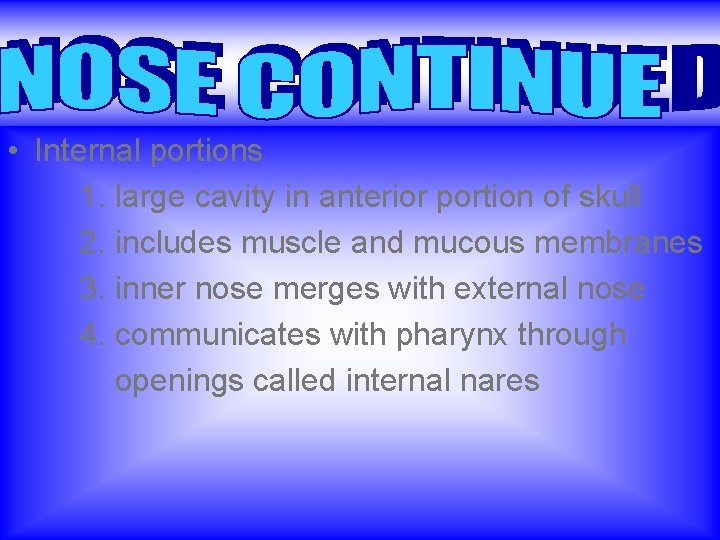  • Internal portions 1. large cavity in anterior portion of skull 2. includes