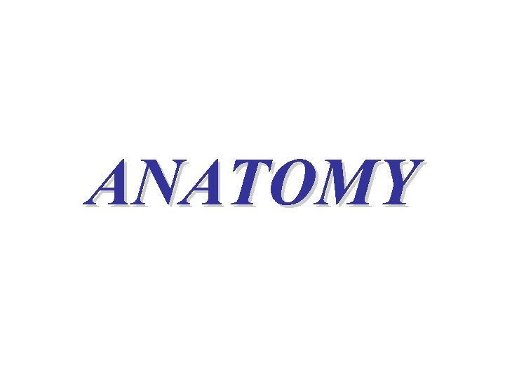 ANATOMY 