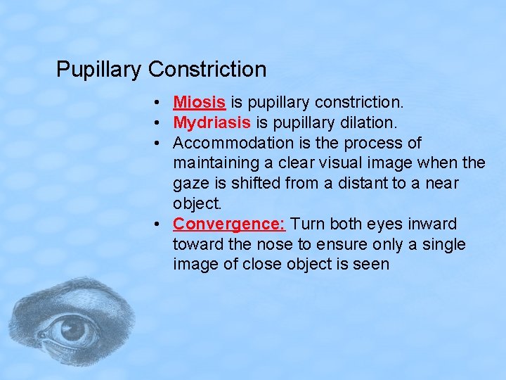 Pupillary Constriction • Miosis is pupillary constriction. • Mydriasis is pupillary dilation. • Accommodation