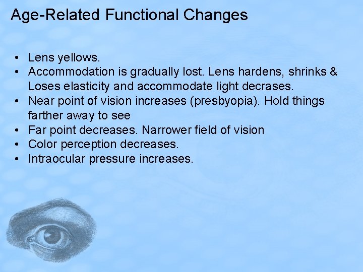 Age-Related Functional Changes • Lens yellows. • Accommodation is gradually lost. Lens hardens, shrinks