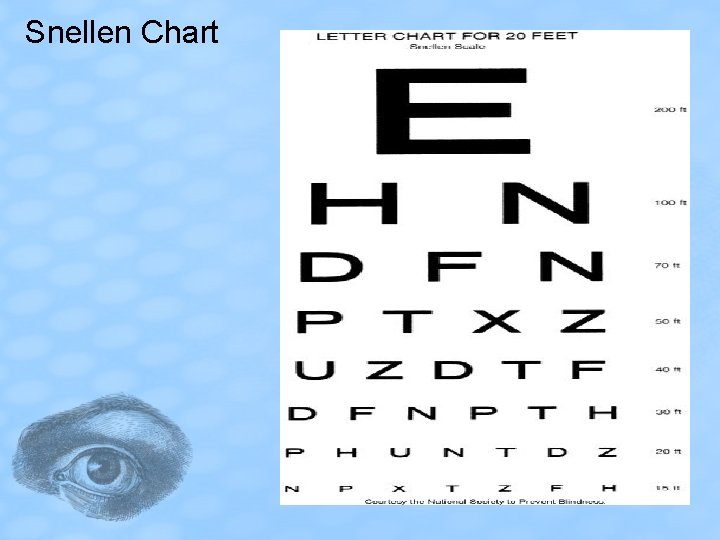 Snellen Chart 
