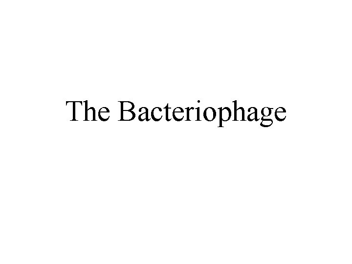 The Bacteriophage 
