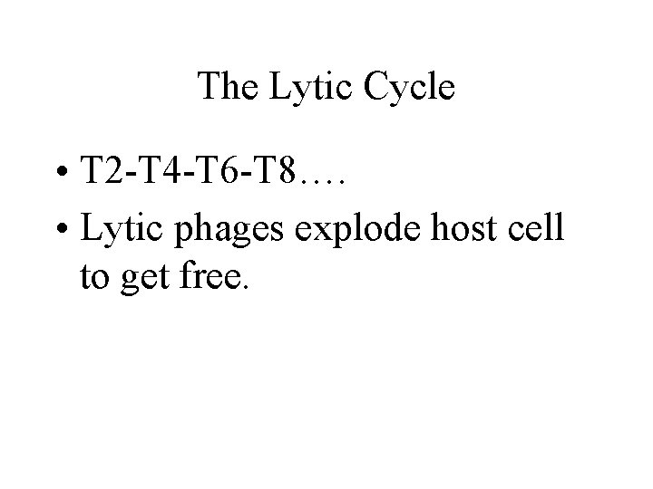 The Lytic Cycle • T 2 -T 4 -T 6 -T 8…. • Lytic