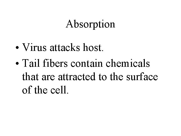 Absorption • Virus attacks host. • Tail fibers contain chemicals that are attracted to