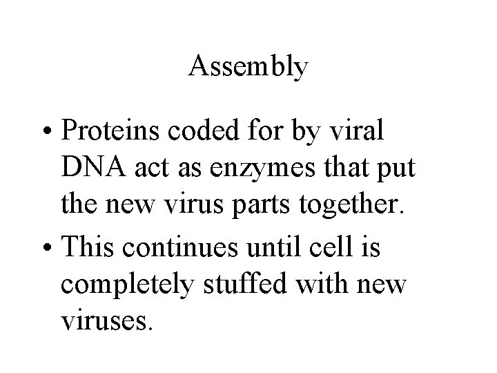 Assembly • Proteins coded for by viral DNA act as enzymes that put the