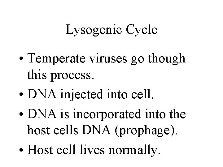 Lysogenic Cycle • Temperate viruses go though this process. • DNA injected into cell.