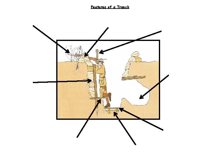 Features of a Trench 