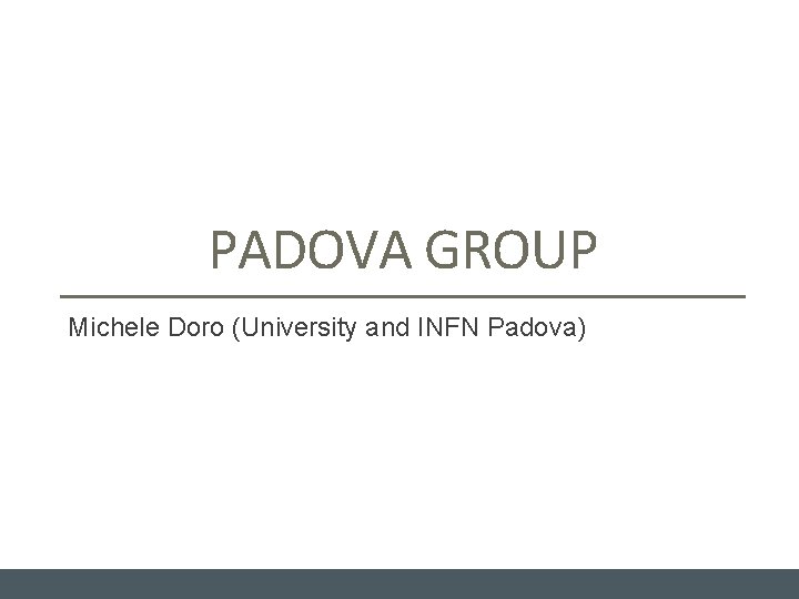 PADOVA GROUP Michele Doro (University and INFN Padova) 