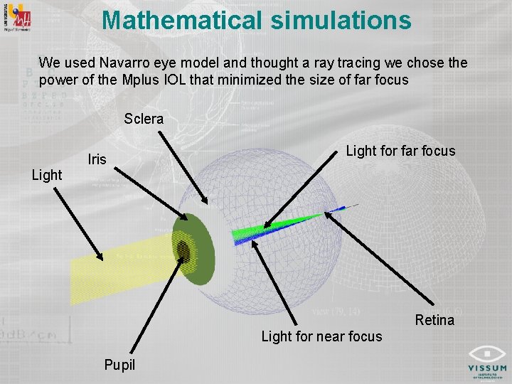Mathematical simulations We used Navarro eye model and thought a ray tracing we chose
