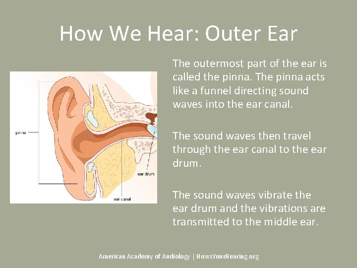 How We Hear: Outer Ear The outermost part of the ear is called the