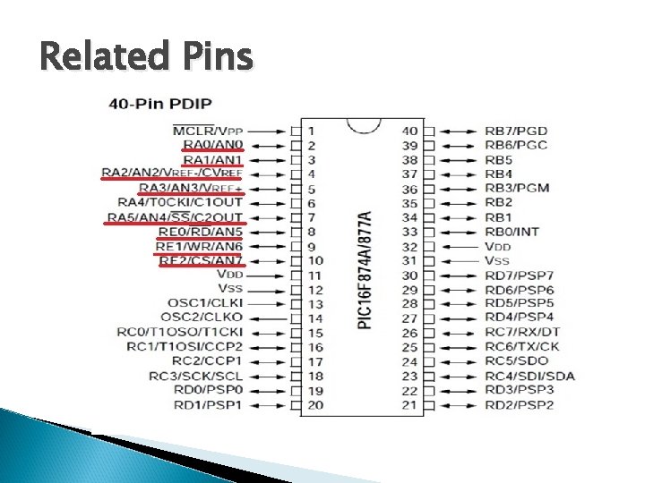 Related Pins 