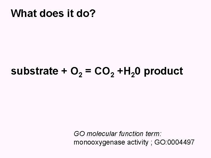 What does it do? substrate + O 2 = CO 2 +H 20 product