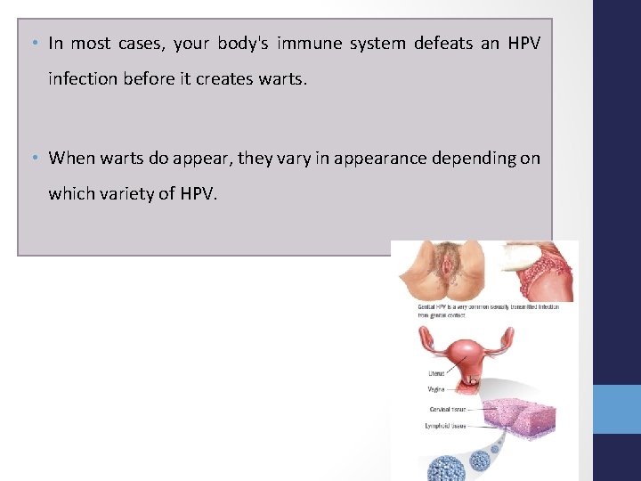  • In most cases, your body's immune system defeats an HPV infection before
