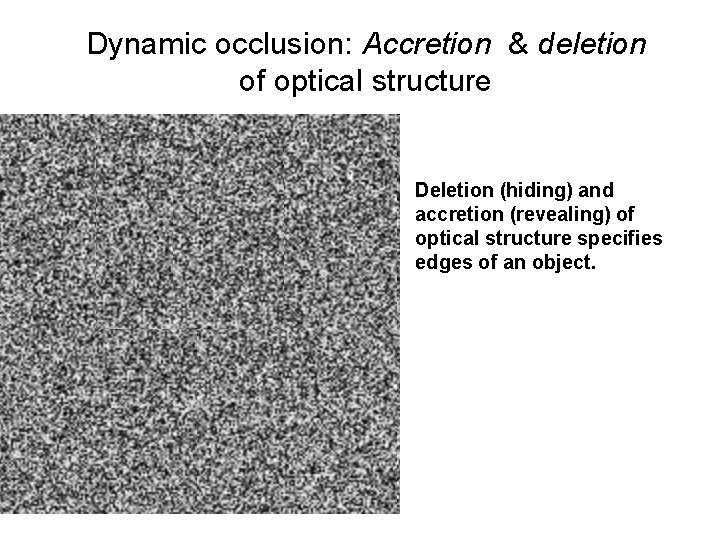 Dynamic occlusion: Accretion & deletion of optical structure Deletion (hiding) and accretion (revealing) of